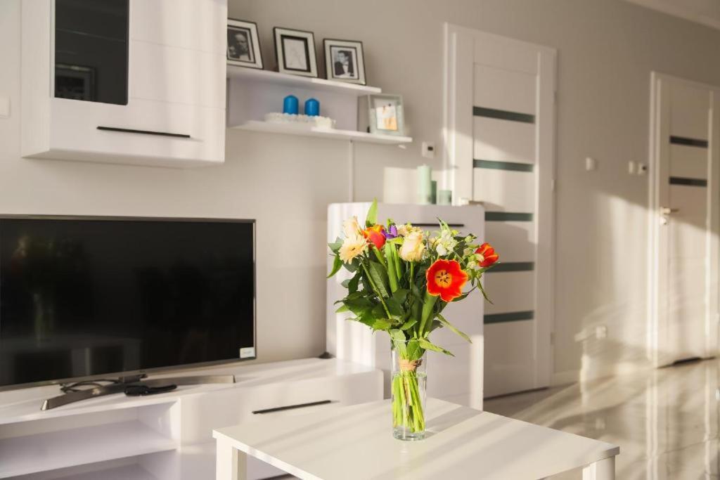 Apartament Perlowy ชวีโนวิชแจ ภายนอก รูปภาพ